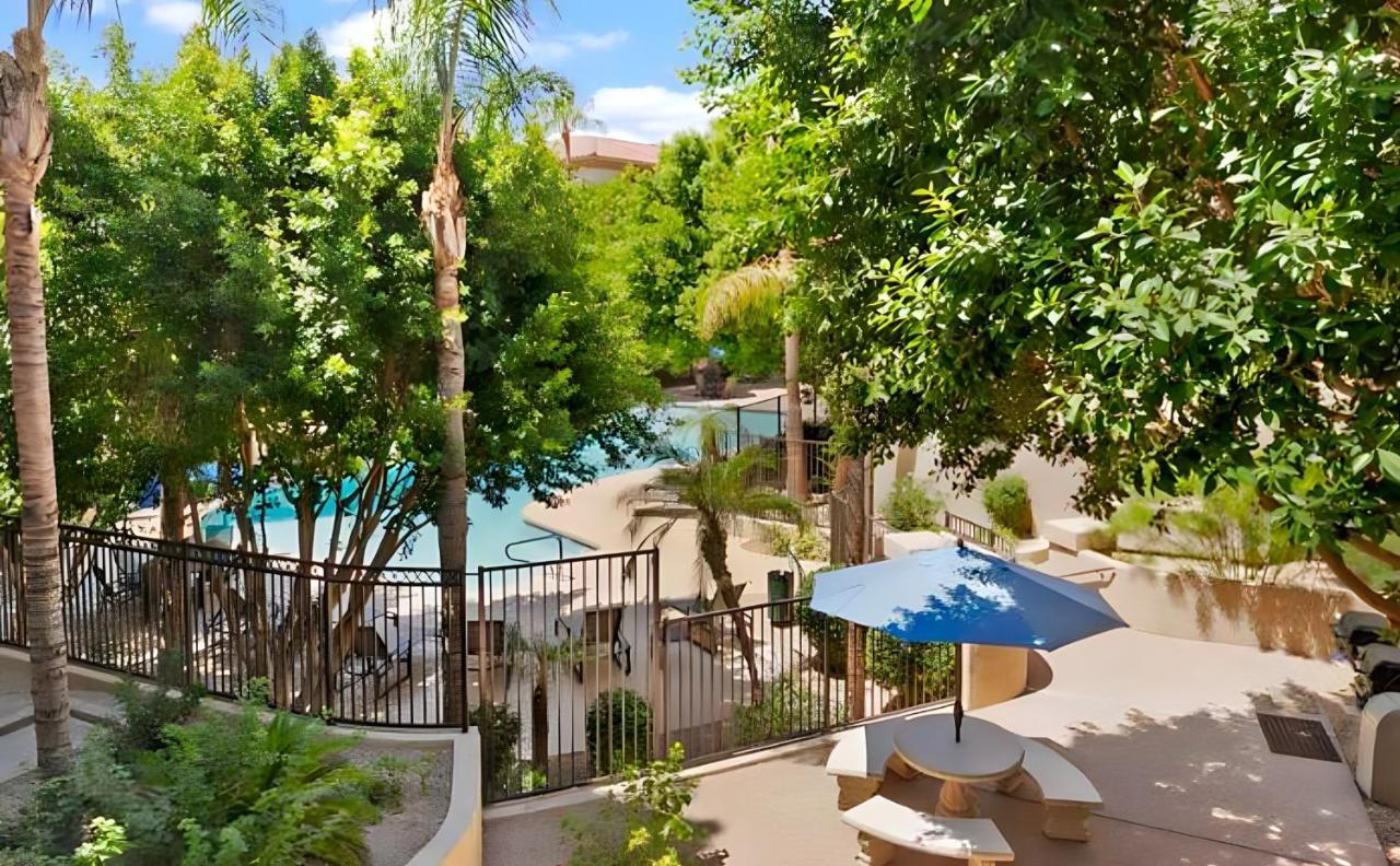 Biltmore Bliss Desert Retreat! Phoenix Exteriör bild