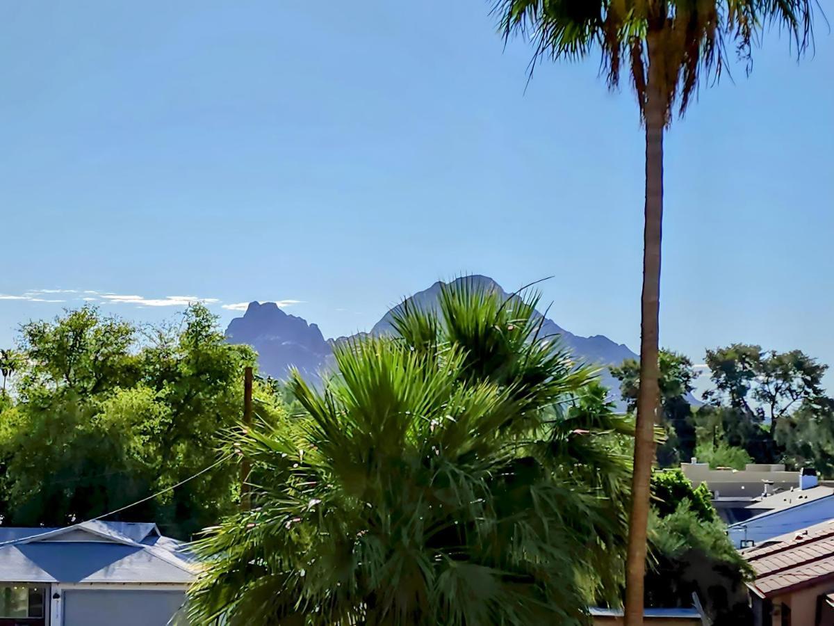 Biltmore Bliss Desert Retreat! Phoenix Exteriör bild